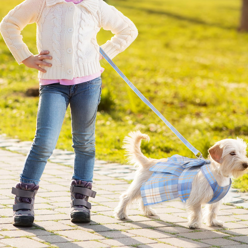 Potchen ensemble harnais et laisse plaid pour chien
