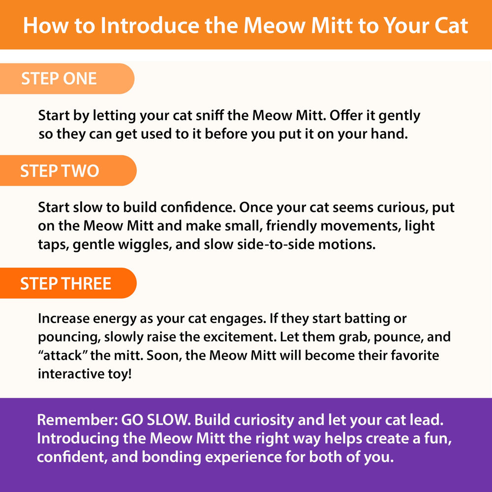 Exercice et enrichissement avec le Meow Mitt pour chat intérieur