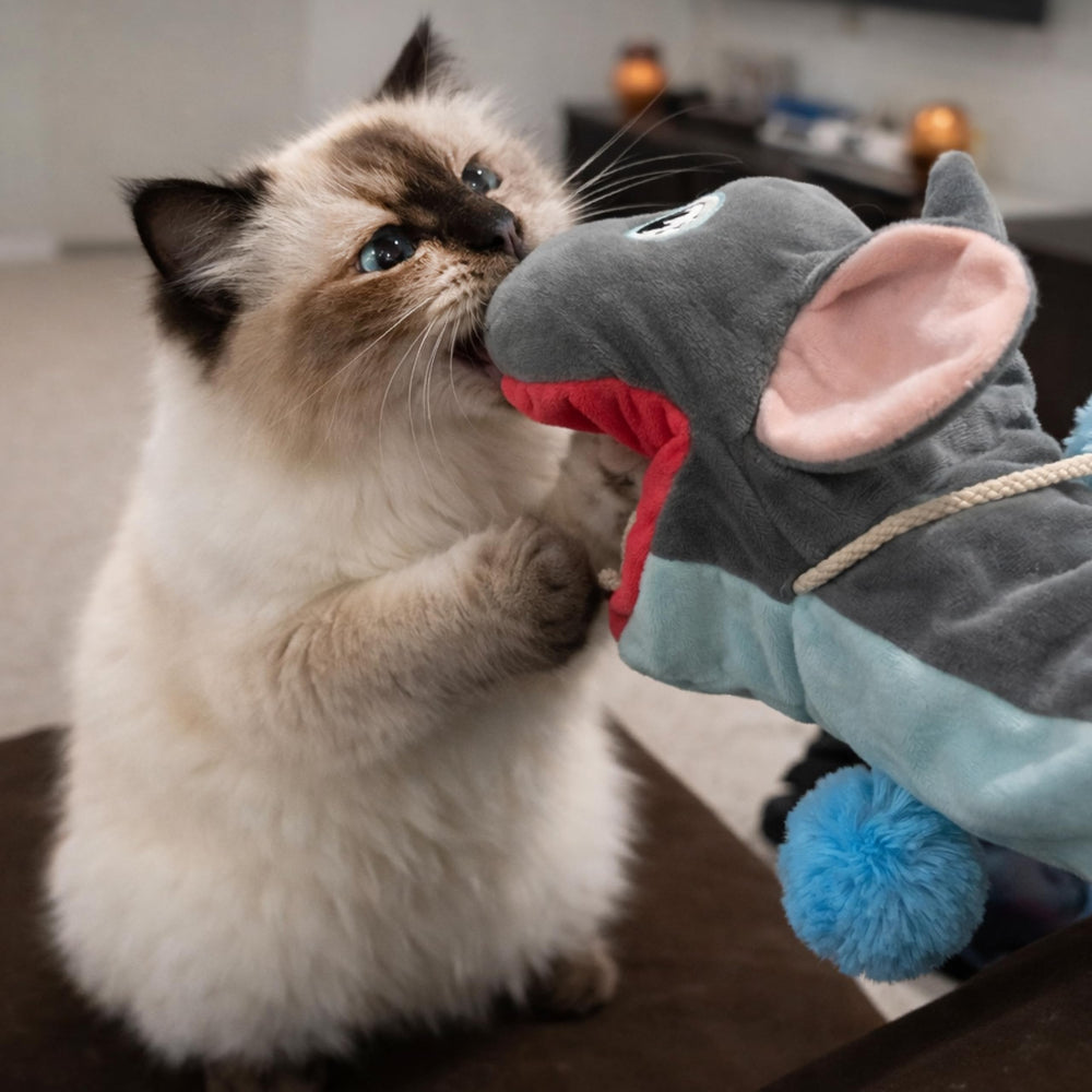 Pounce Purr Meow Mitt: les sons crissants stimulent la chasse et l’attention du chat