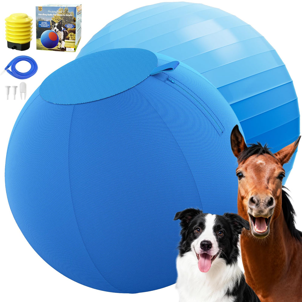 Povee Happypaw balle berger 18po en action, jeu de poursuite pour chiens.