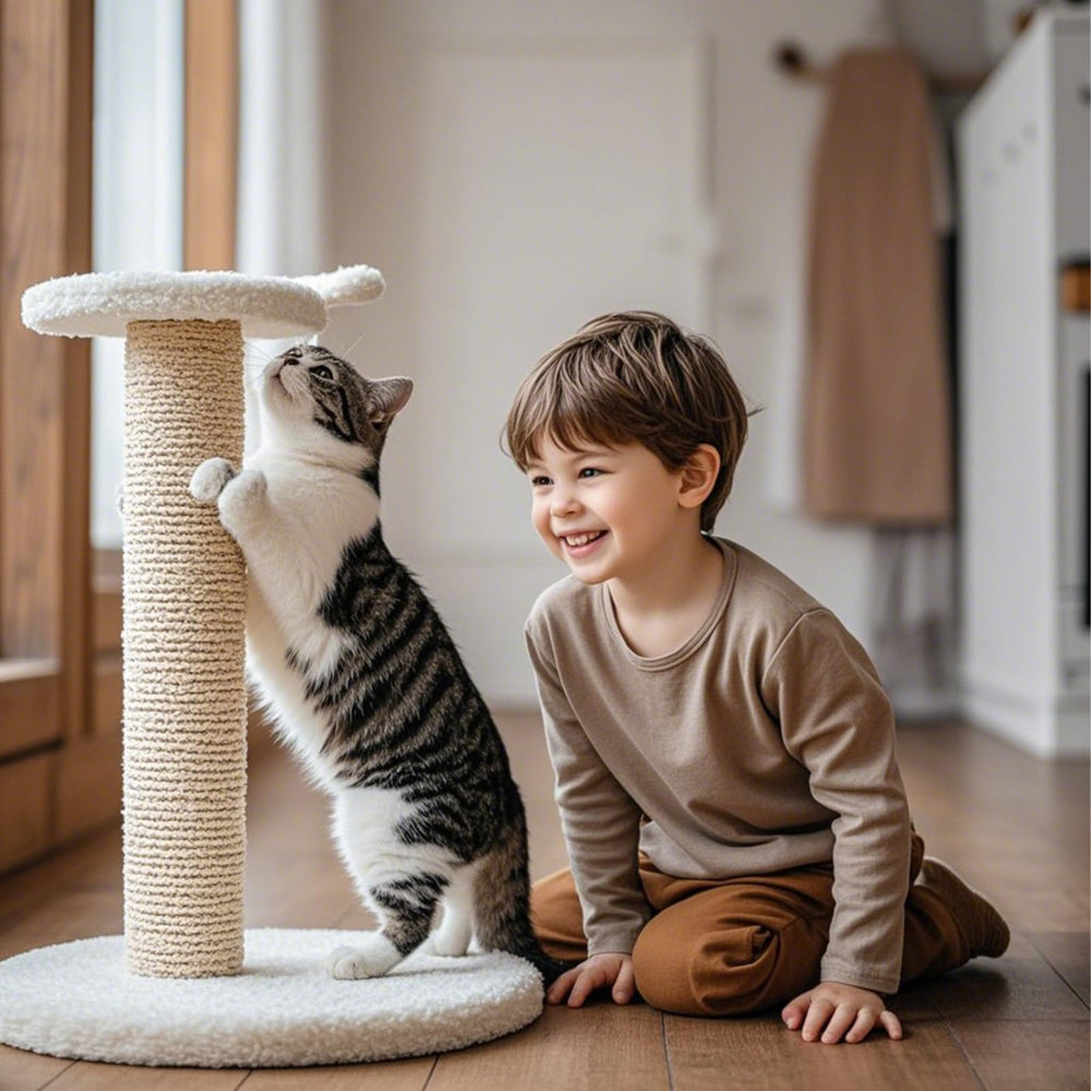 PowerKing poteau sisal compatible avec postes intérieurs.