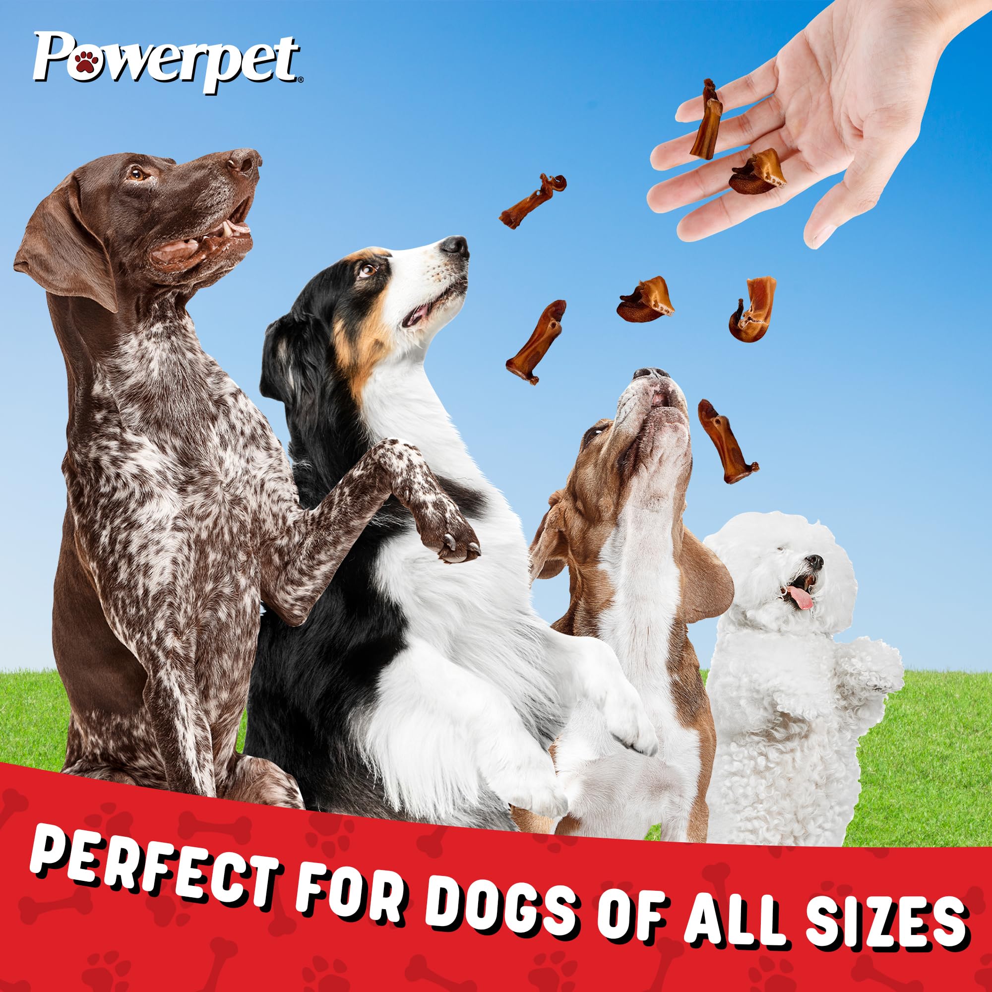 Powerpet Morceaux bâton à mâcher digestion facile pour chiens sensibles.