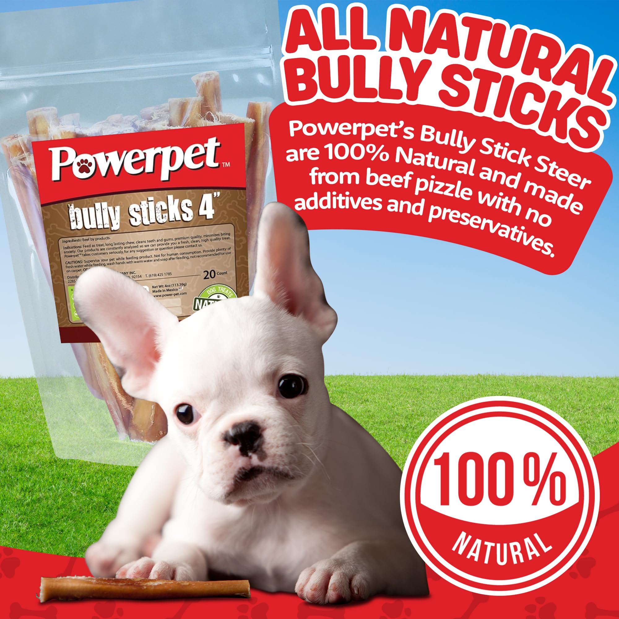Powerpet bâton boeuf naturel sans odeur; soutien à la dentition et gencives.