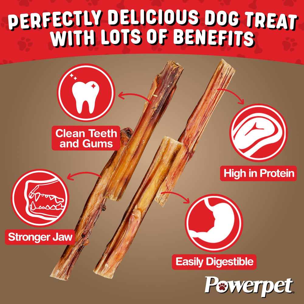 Powerpet bâton 4 pouces aide à la digestion légère.