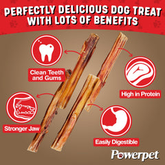 Powerpet bâton 4 pouces aide à la digestion légère.