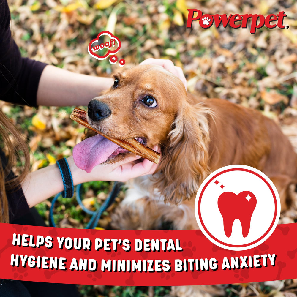 Powerpet bâton longue durée, parfait pour mâcher longtemps.