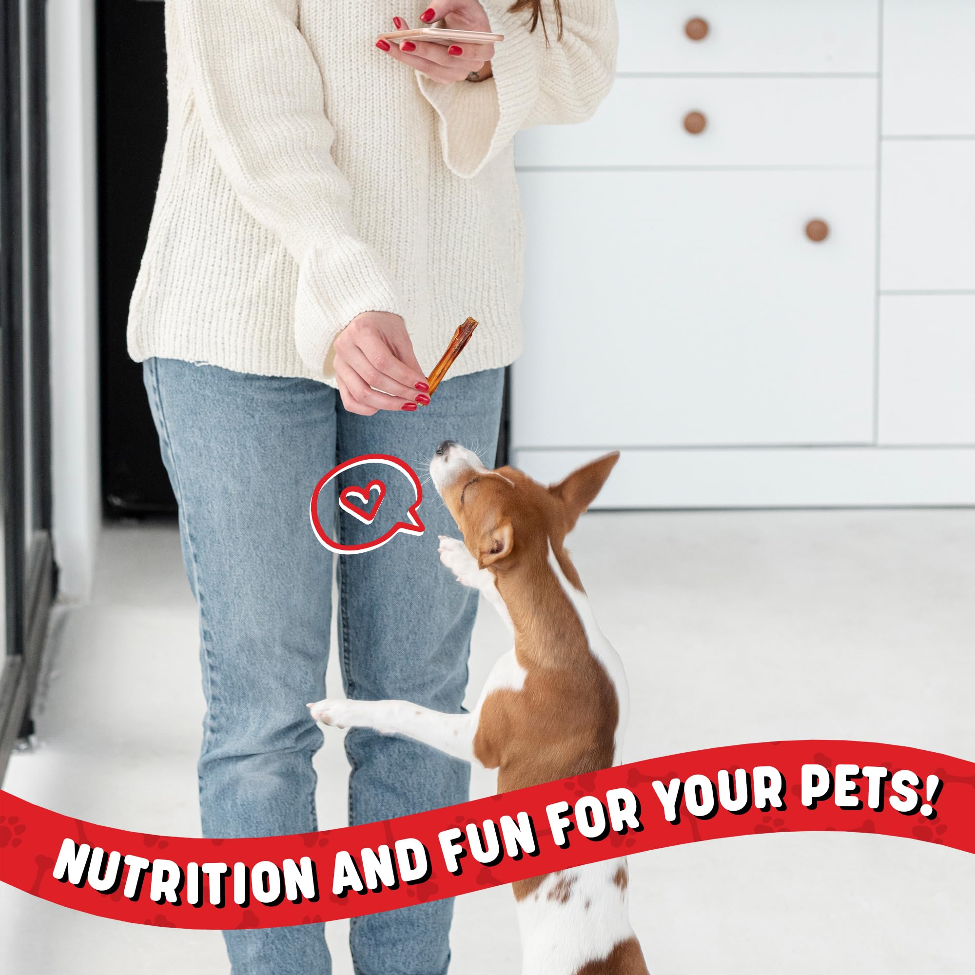 Powerpet bâton compatible avec toutes tailles et races.