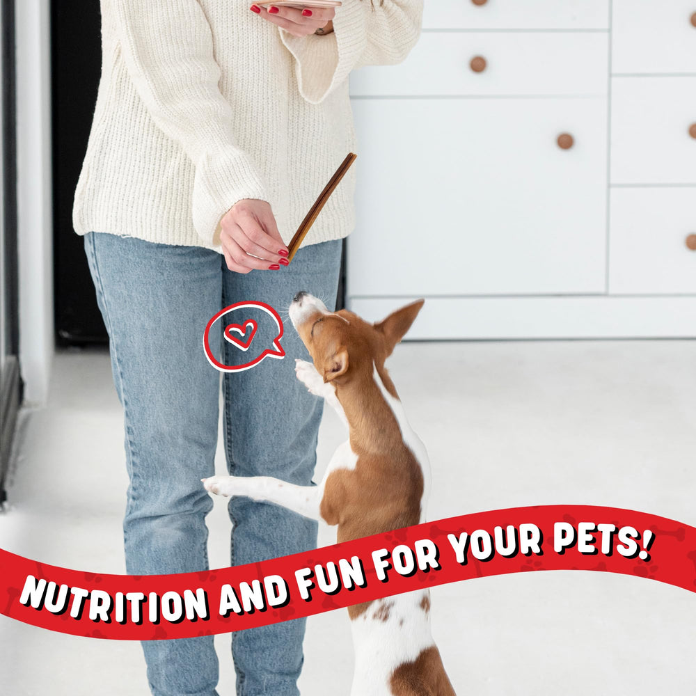 Powerpet bâtonnet bully offrant un divertissement longue durée pour chiens de toutes tailles.