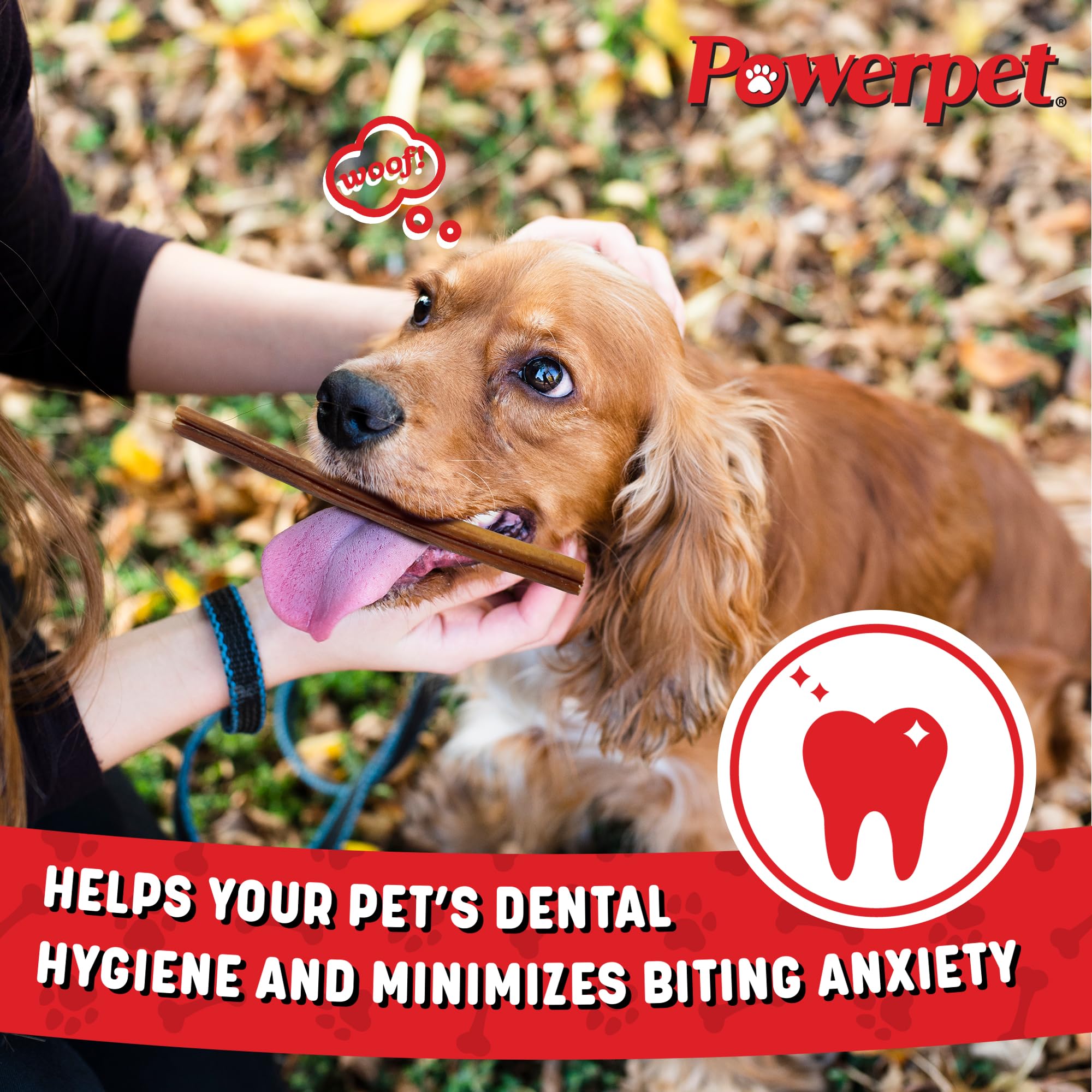 Powerpet bâtonnet bully favorisant l’hygiène dentaire lors du mâchage régulier.