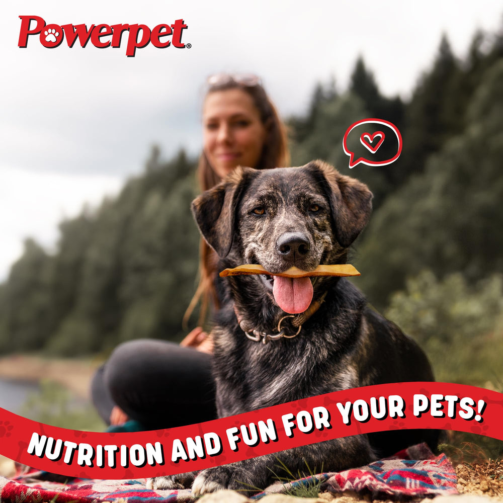 Powerpet sachet 225 g de peaux de bœuf séchées fumées, option pratique et durable.