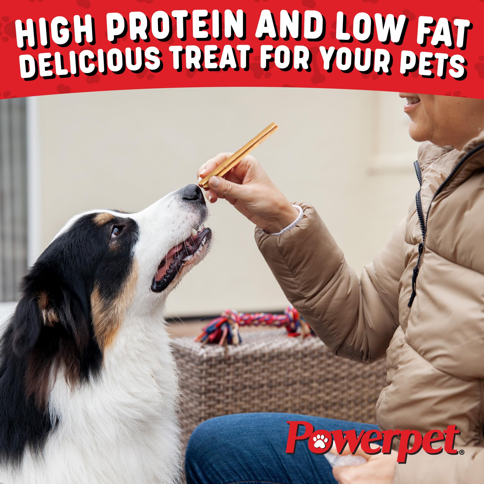 Powerpet Steer Stick pour toutes tailles, longévité adaptée.