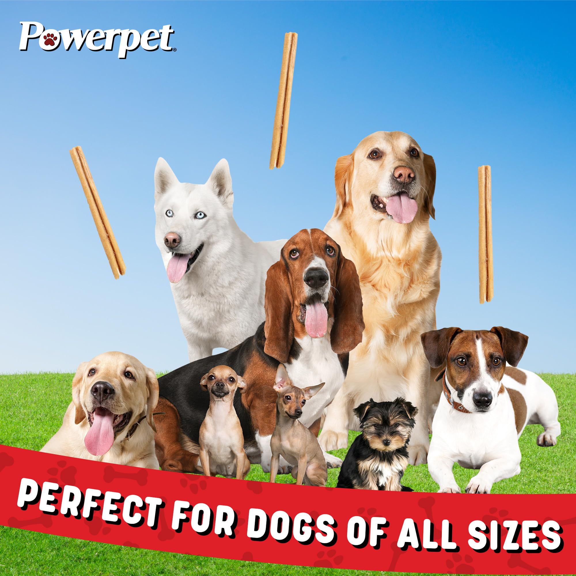 Powerpet Steer Stick santé dentaire, aide à nettoyer dents et gencives.
