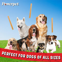 Powerpet Steer Stick santé dentaire, aide à nettoyer dents et gencives.