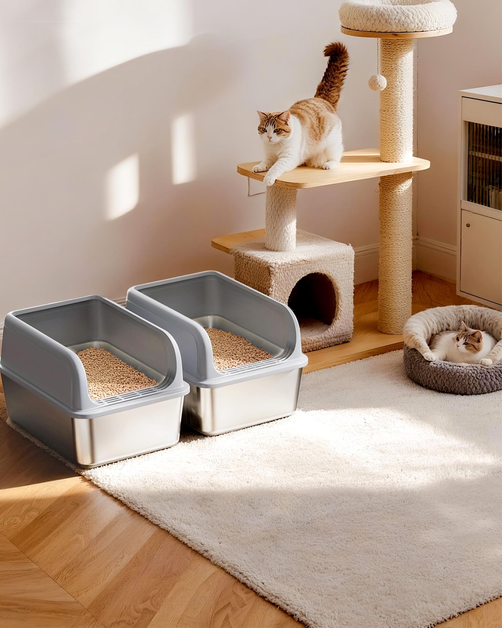 Powools bac-litiere inox, installation rapide sans outils pour un espace chat prêt en minutes
