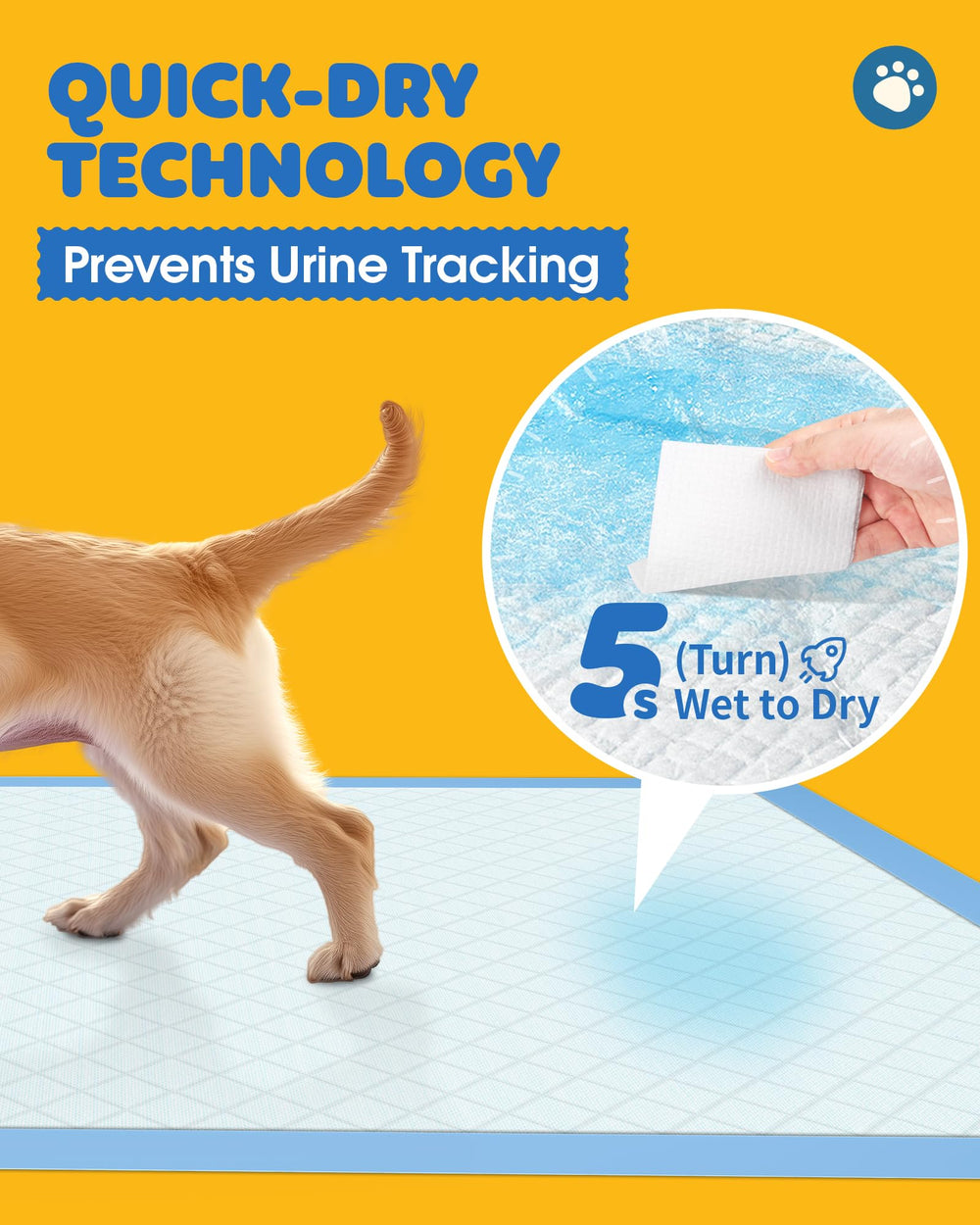 Powools Base Film PE Impermeable – protection solide des sols.