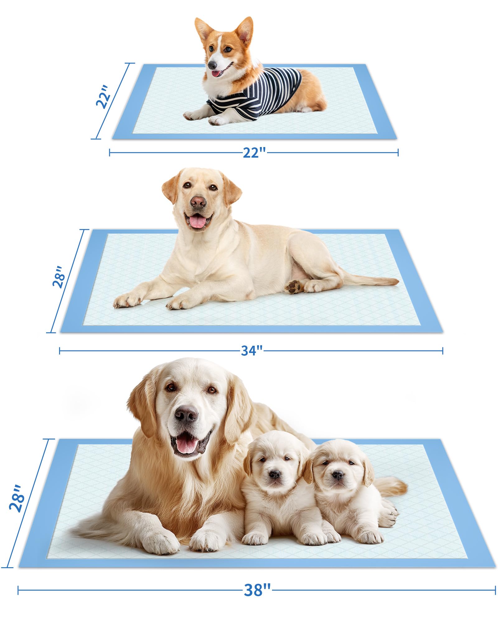 Powools Grand format 38x28 pouces, moins de remplacements.