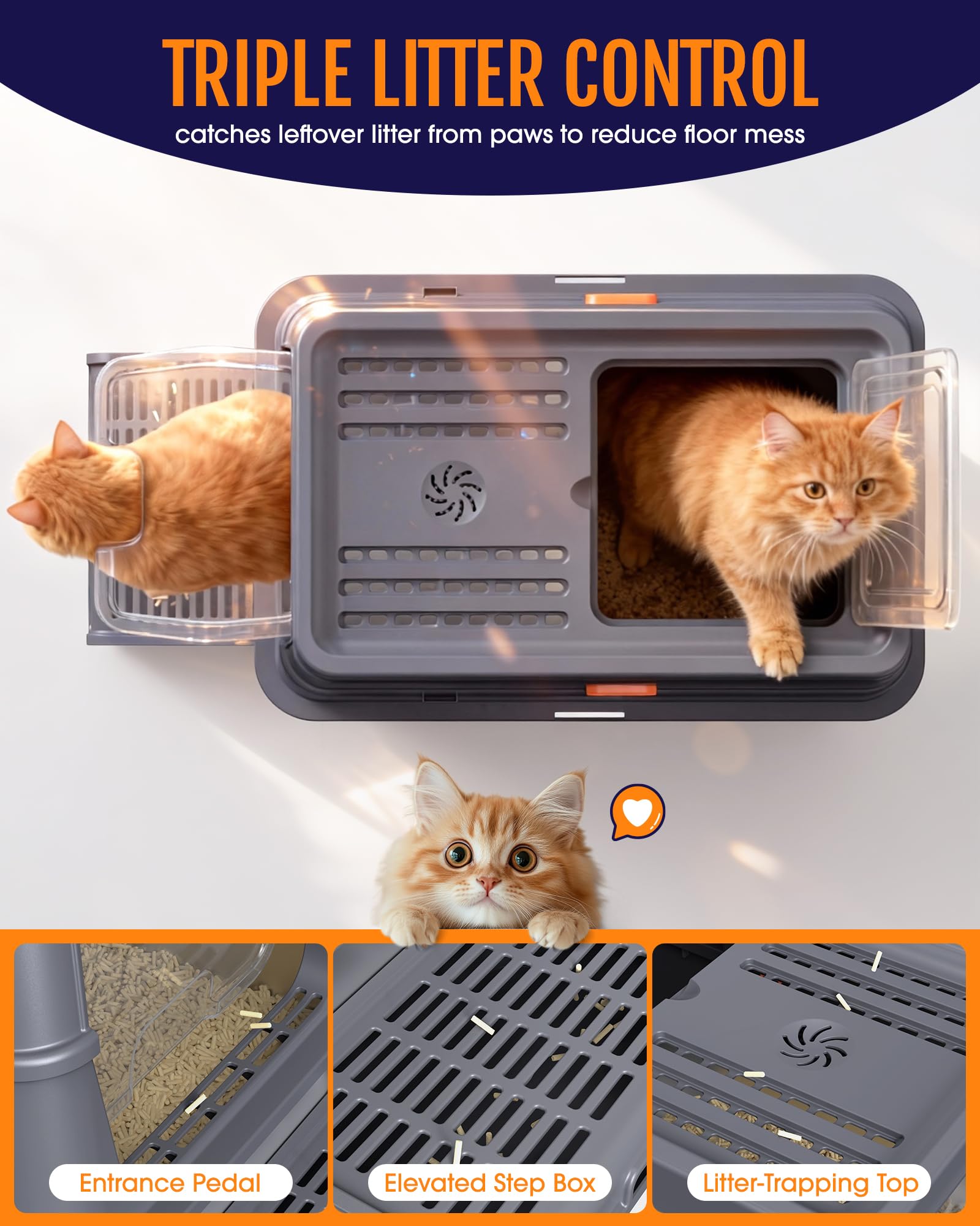 Powools murs-hauts: protection des sols et confinement des déchets.