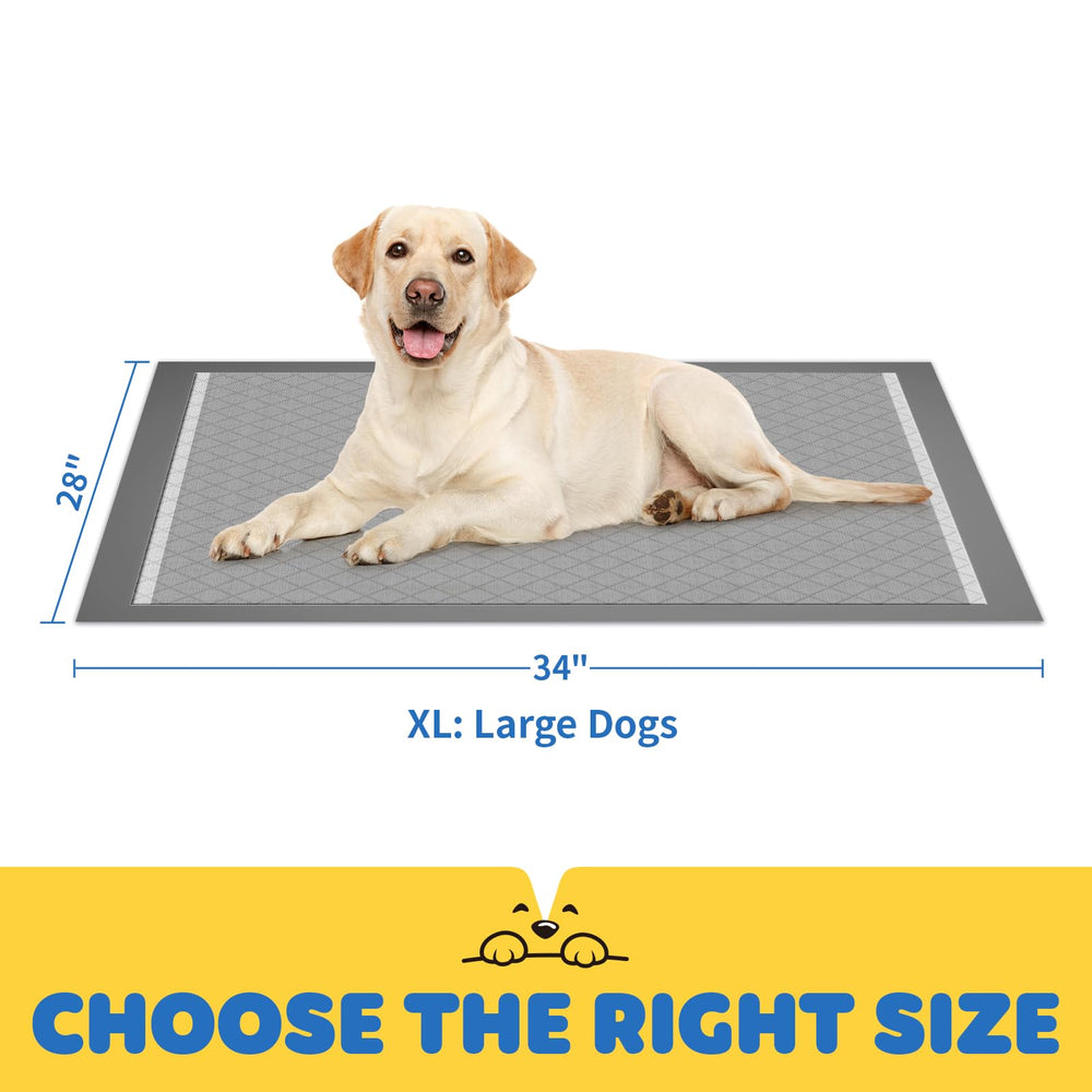 Powools lot de 100 tapis chien, solution économique.