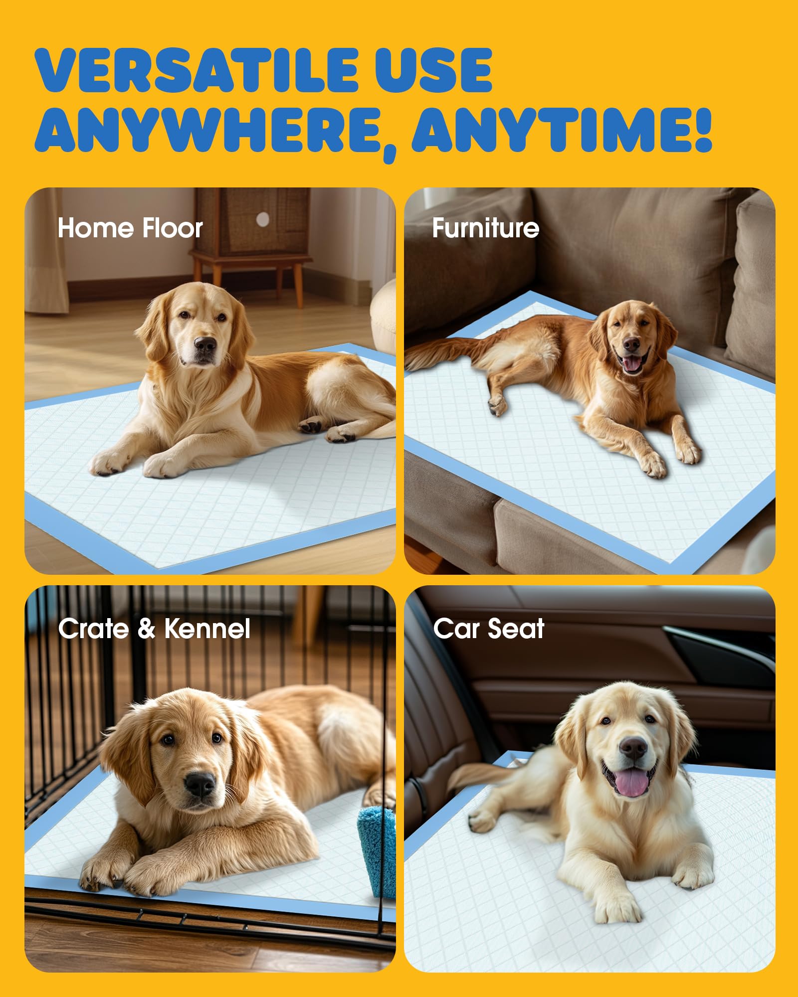 Powools Pour Chien de Grande Taille – convient à toutes les races.