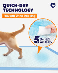 Powools tapis bords-scellés: protection contre les fuites et les odeurs.