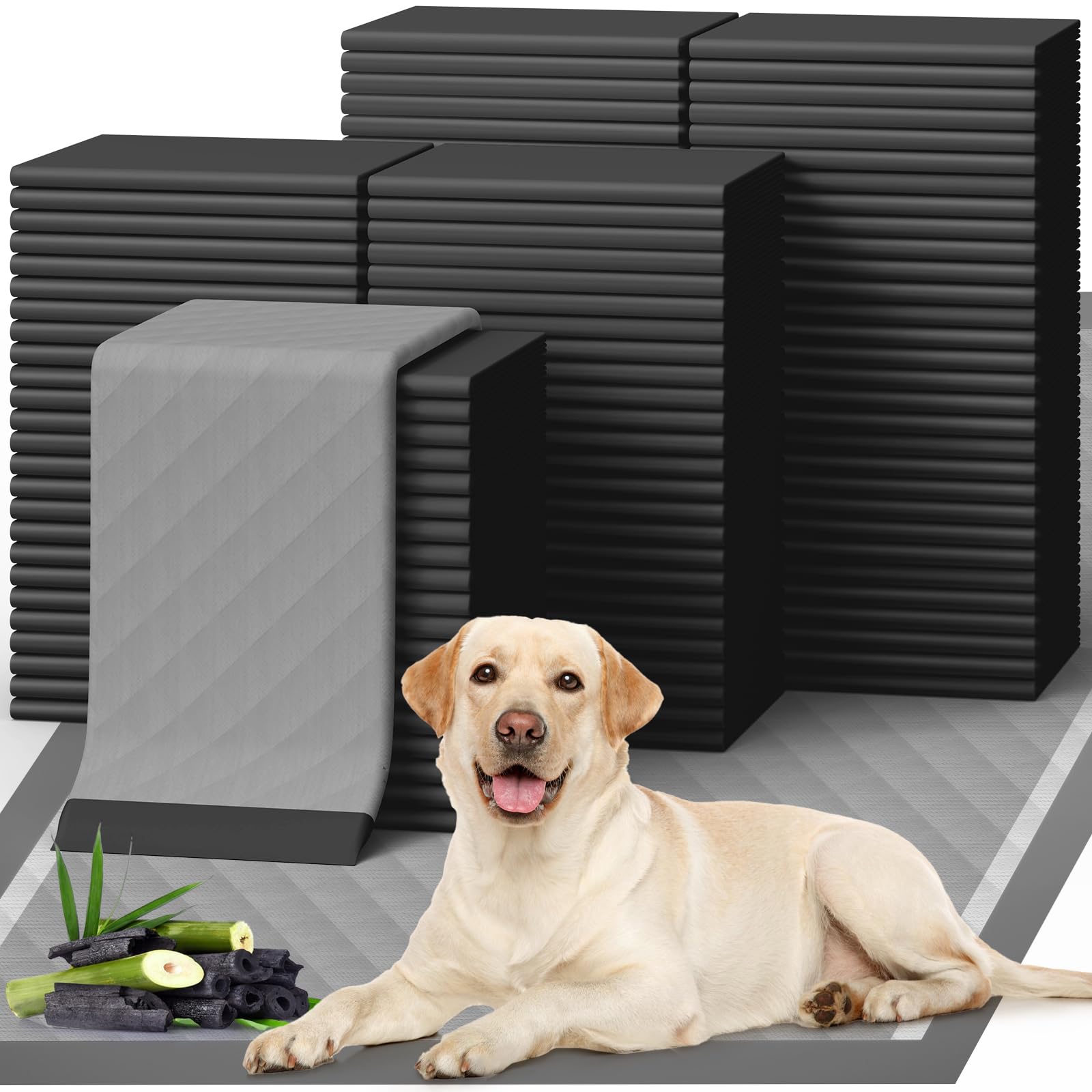 Powools tapis toilette chien 34x28, pratique pour entraînement en maison.
