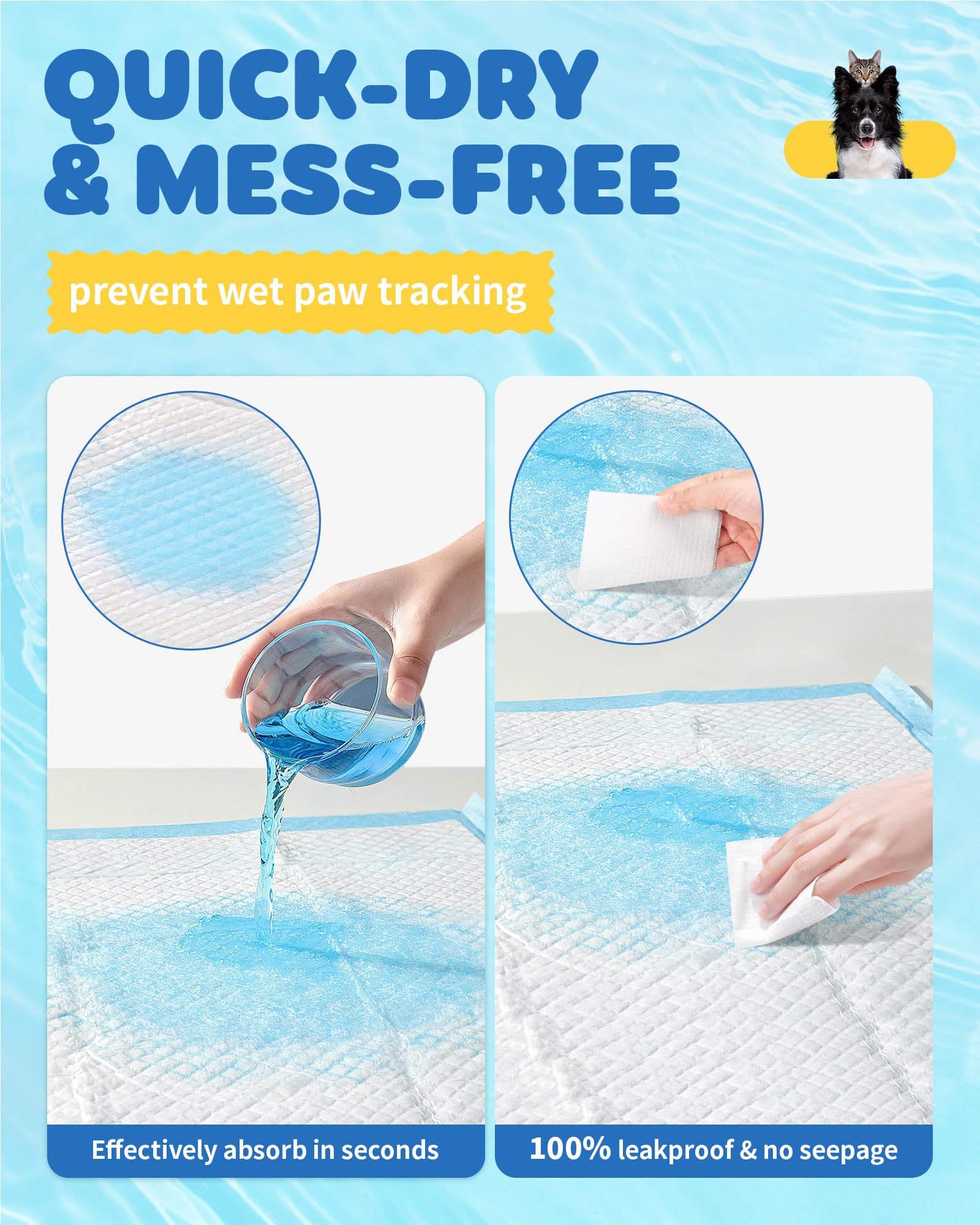 Powools usage multi-âge, adapté chiots et chiens adultes
