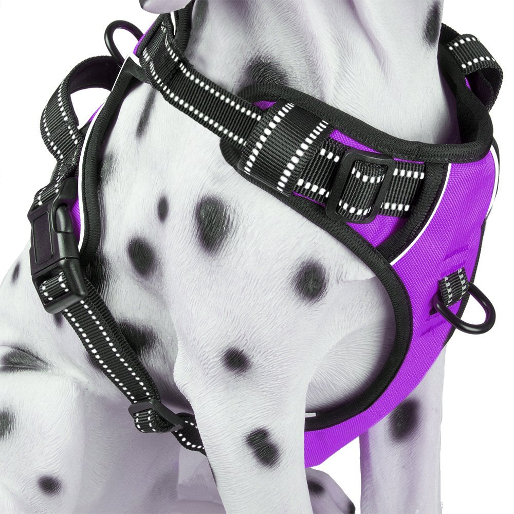 Harnais PoyPet avec attache avant pour limiter les tirages et guider le chien.