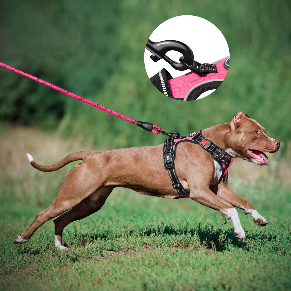 Mise en place facile du harnais PoyPet rose pour chiens de toutes tailles.