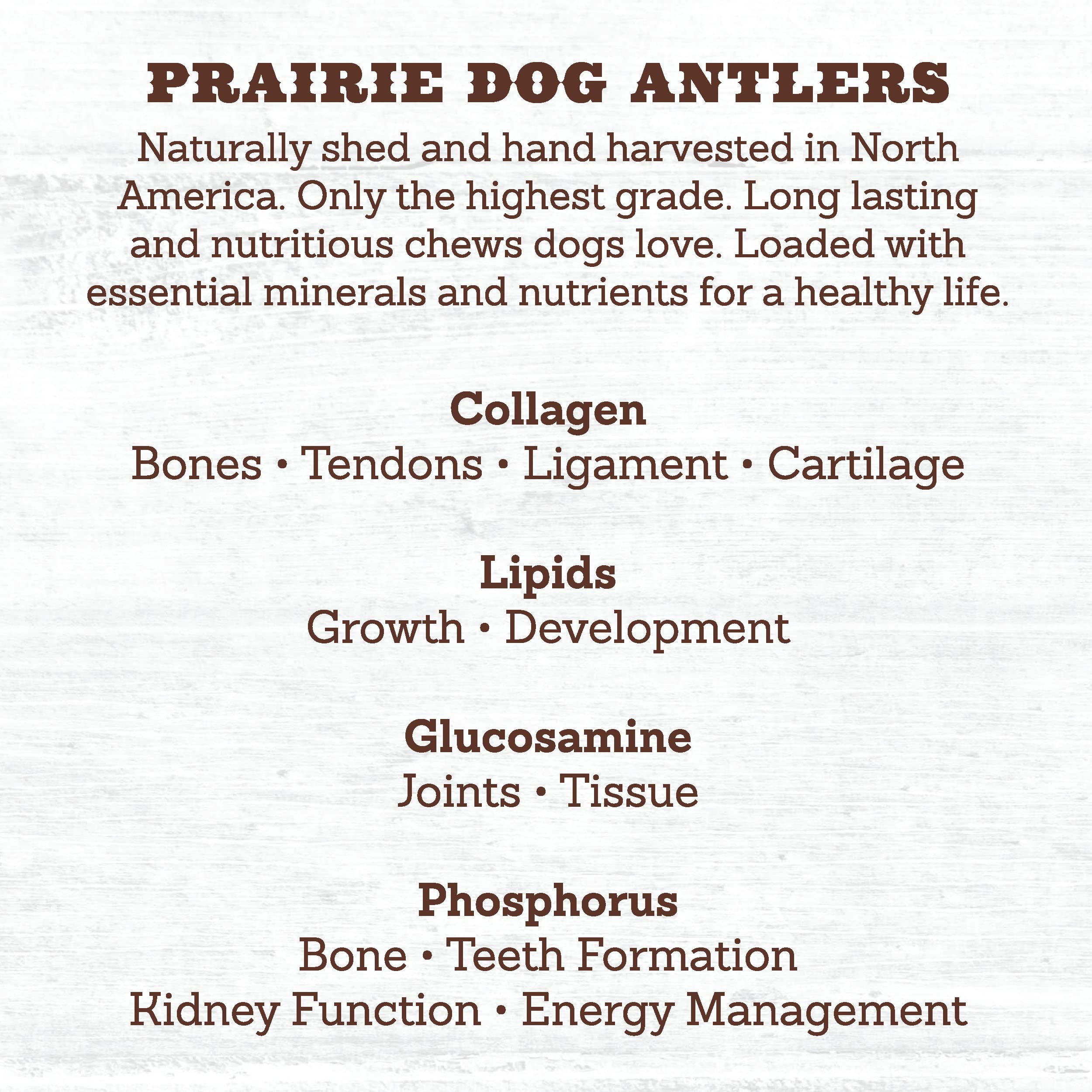 Prairie Dog Pet Products os de cerf nord-américains doux adaptés aux chiots sensibles.