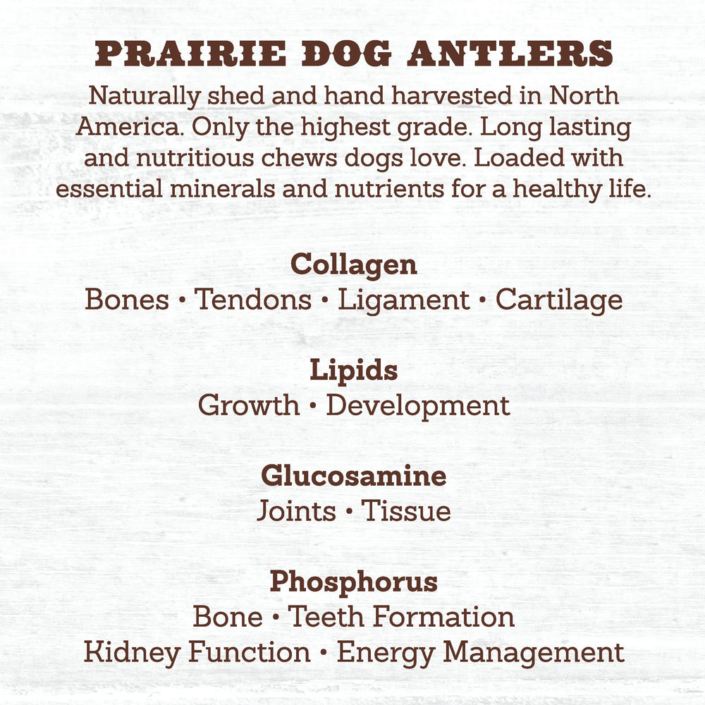 Prairie Dog Pet Products os de cerf nord-américains doux adaptés aux chiots sensibles.