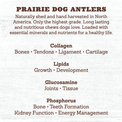 Prairie Dog Pet Products os de cerf nord-américains doux adaptés aux chiots sensibles.