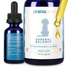 PranaPets Équilibre Surrénal – flacon gouttes: soutien hormonal doux pour chien