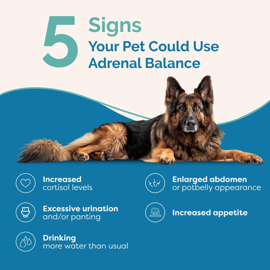 PranaPets Équilibre Surrénal – gouttes ajoutées à nourriture humide pour chien