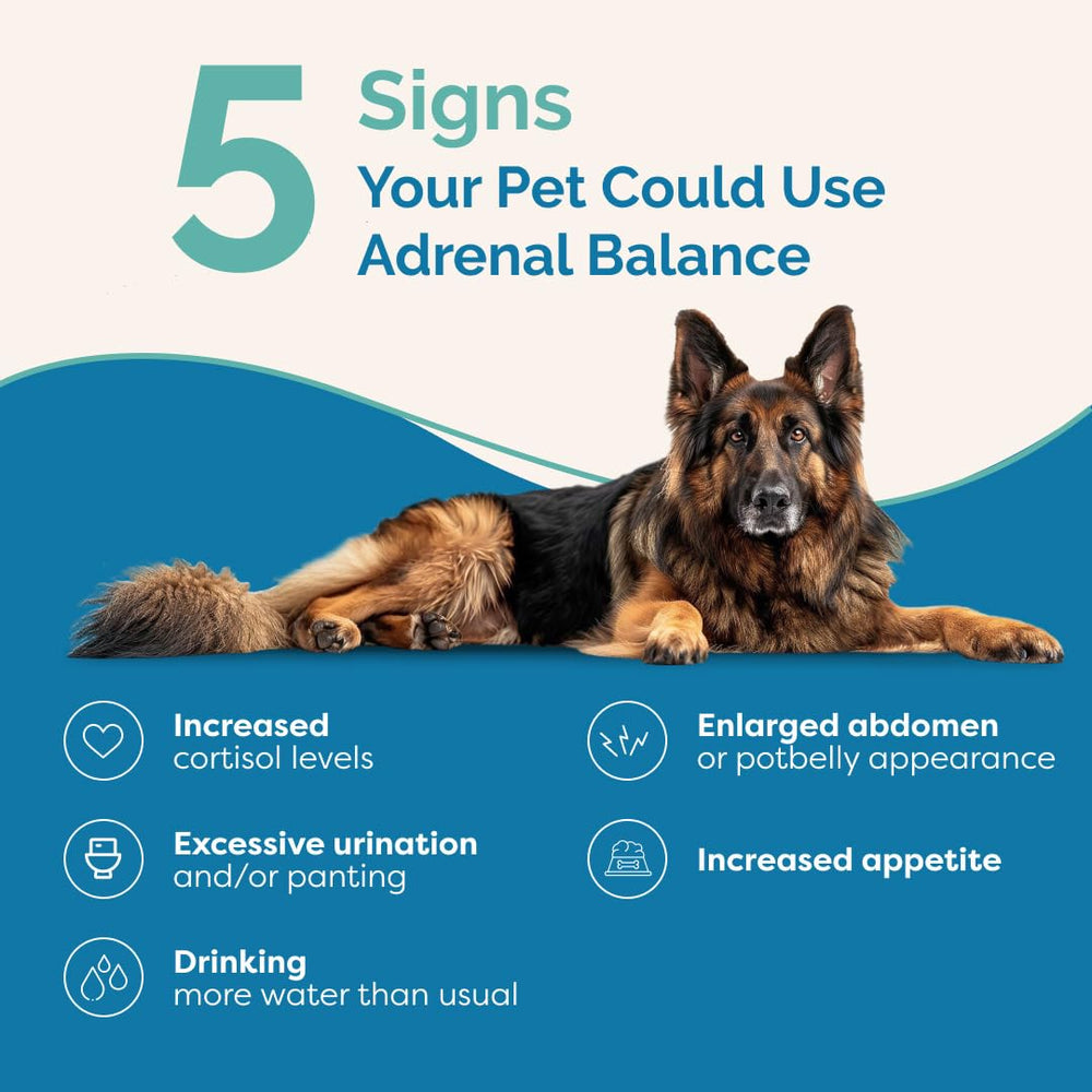 PranaPets Équilibre Surrénal – gouttes ajoutées à nourriture humide pour chien