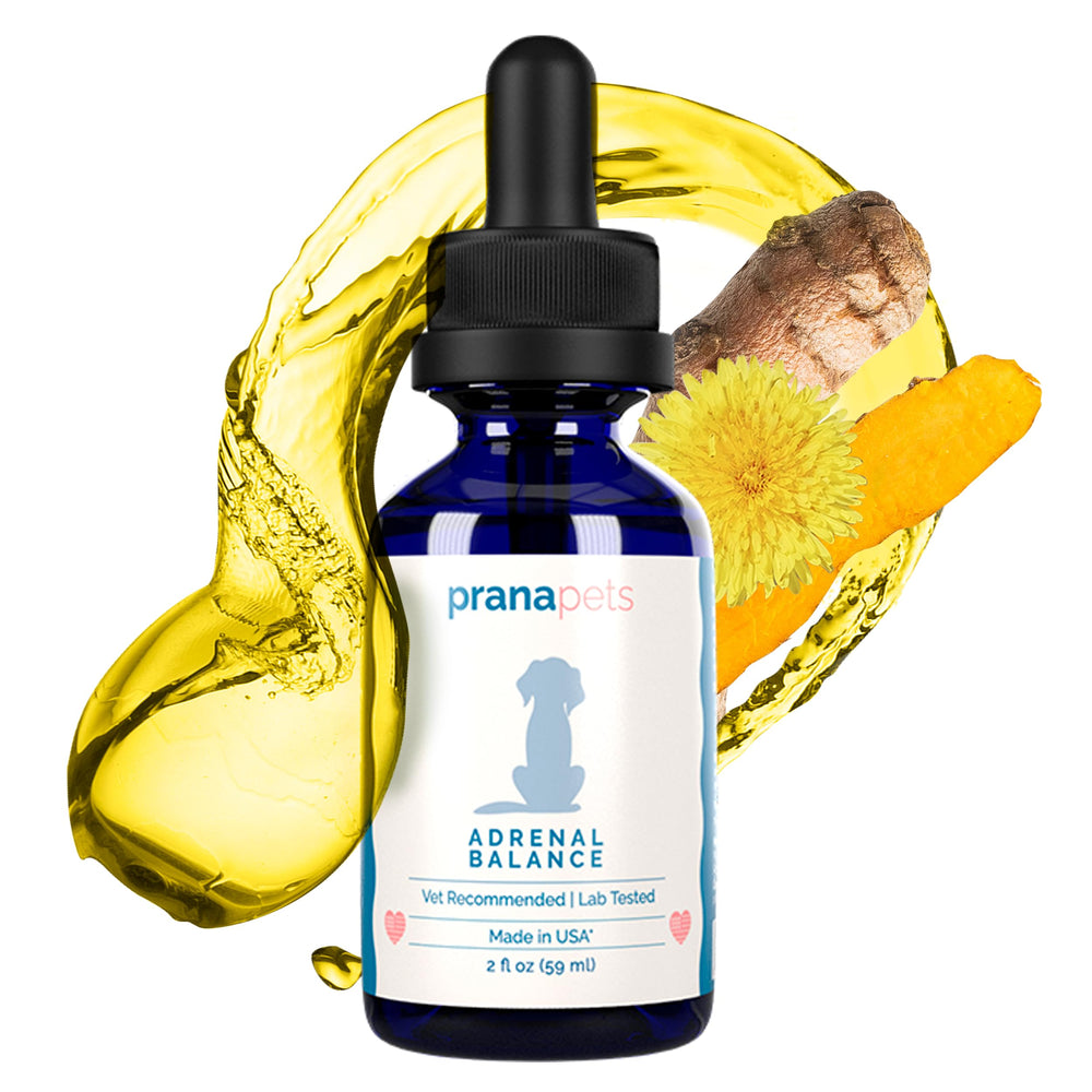 PranaPets Équilibre surrénal, bouteille: soutien naturel pour chien