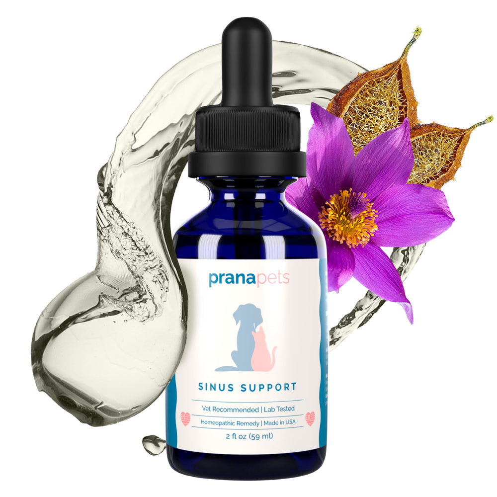 PranaPets Sinus Support – composition-herbal: ingrédients naturels soigneusement sélectionnés.