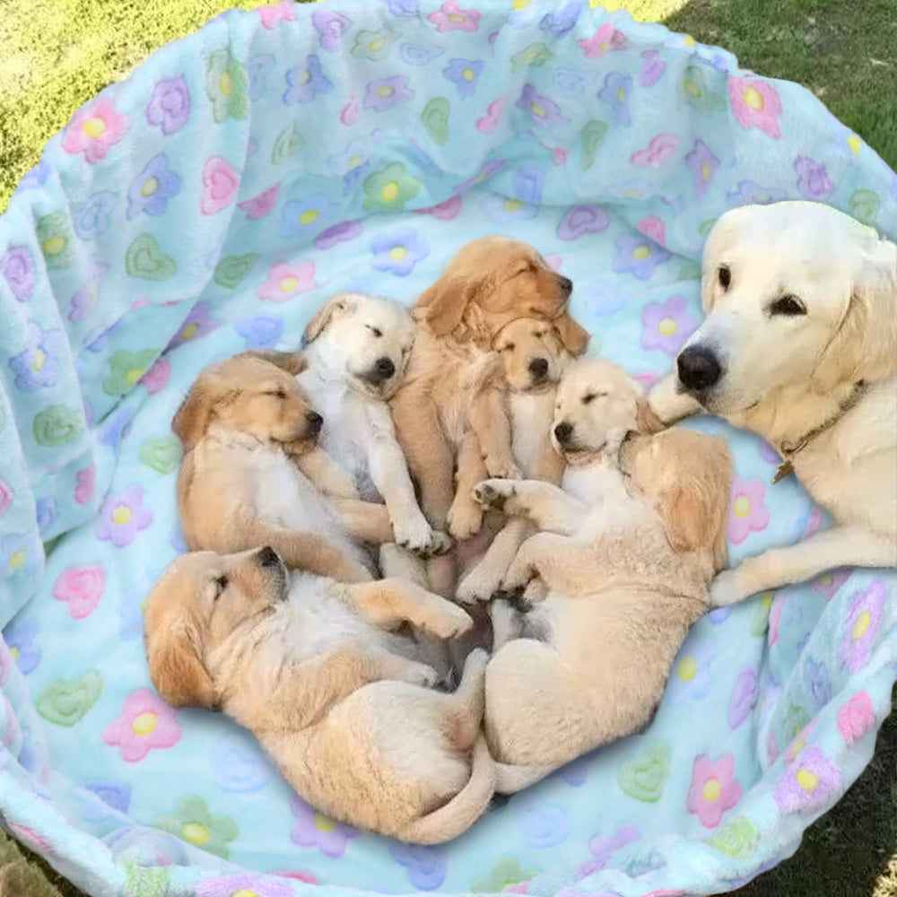 Cadeau pratique pour refuges et propriétaires d animaux, durable et utile.