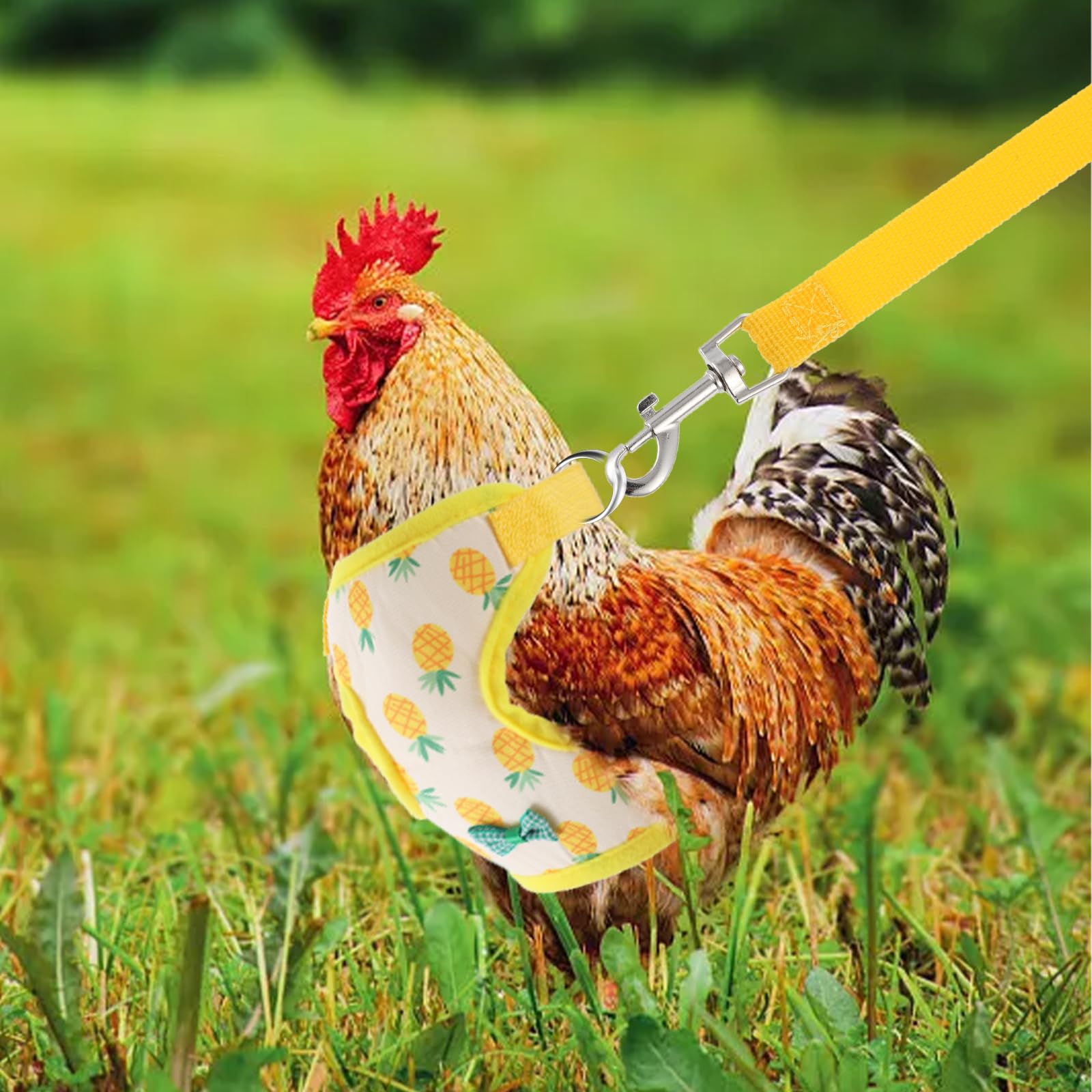 Harnais motif fraise-ananas pour poulet, usage polyvalent.