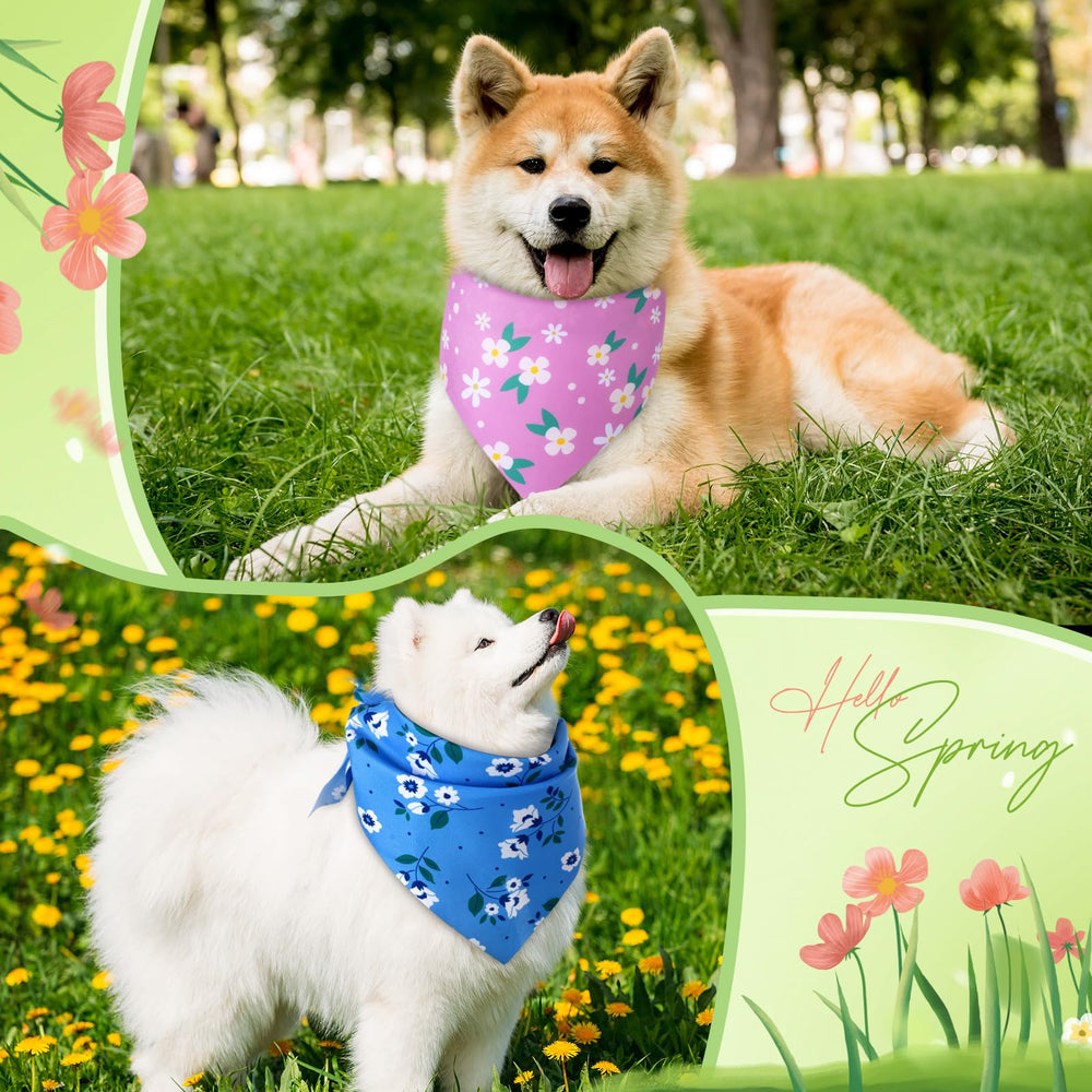 Accessoire de mode Preboun pour chien, idéal pour séances photo et sorties.
