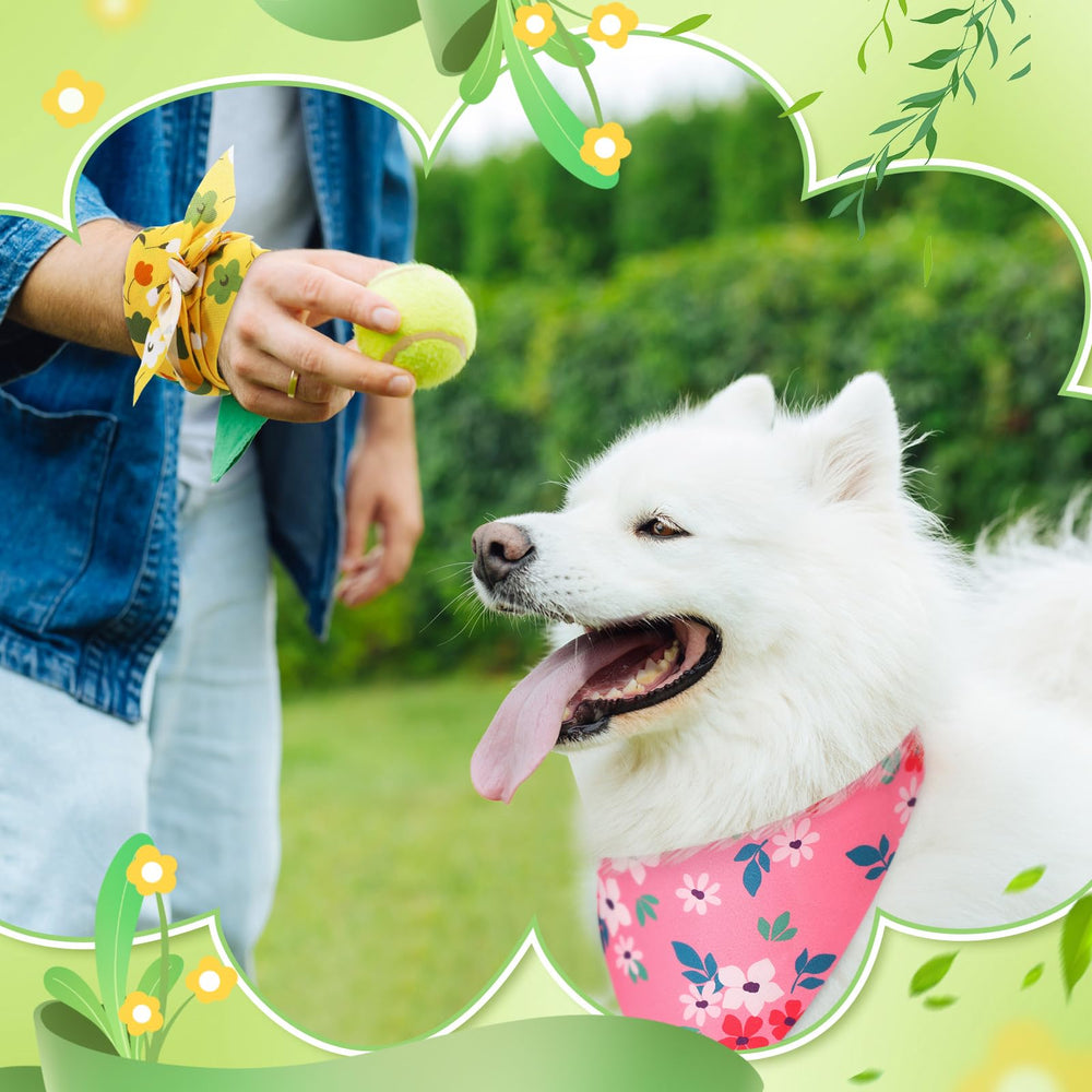 Cadeau Preboun pour toiletteurs et boutiques d'animaux, idées cadeaux d’adoption.