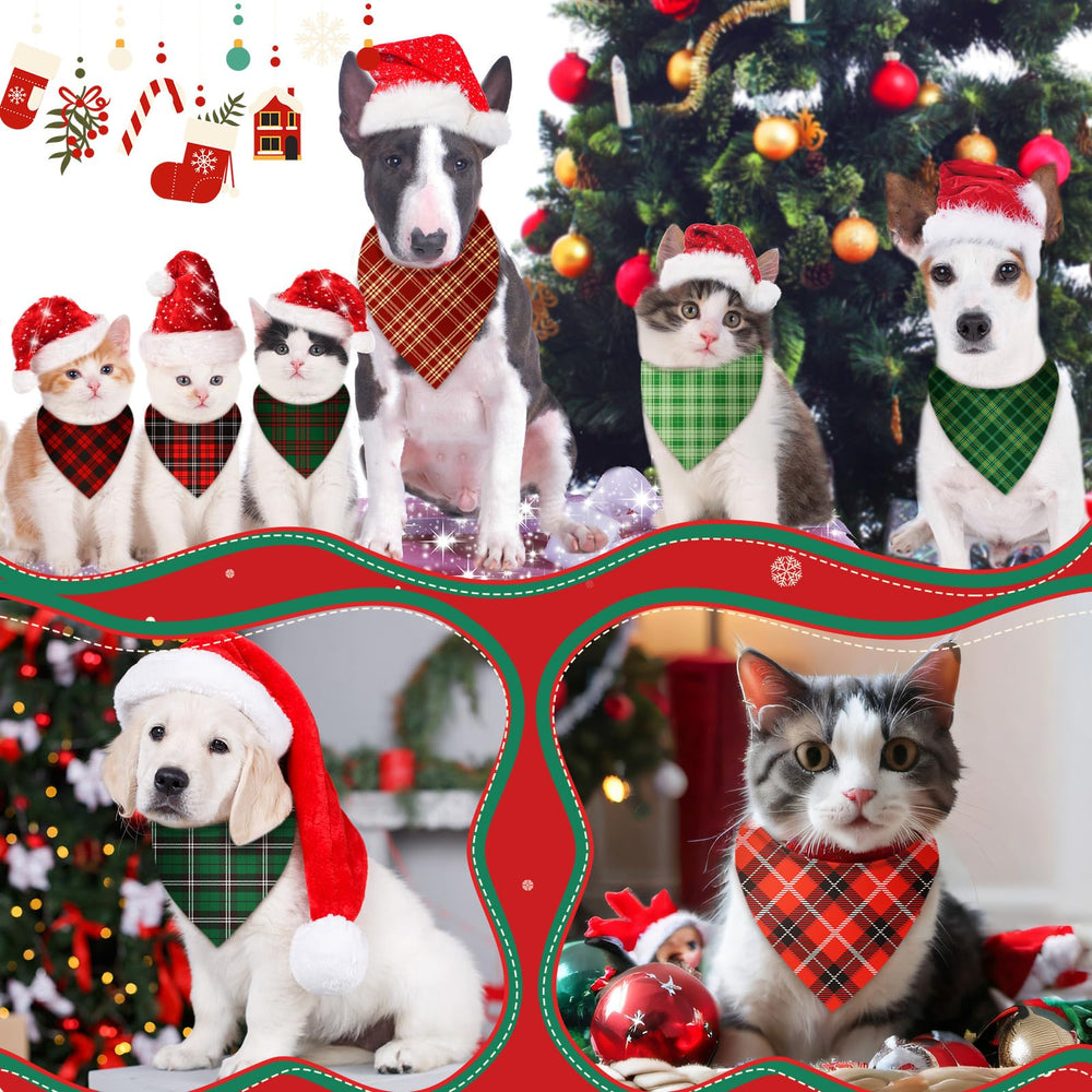 Pack 200 bandanas Preboun pour chien, variété pour photos et sorties.