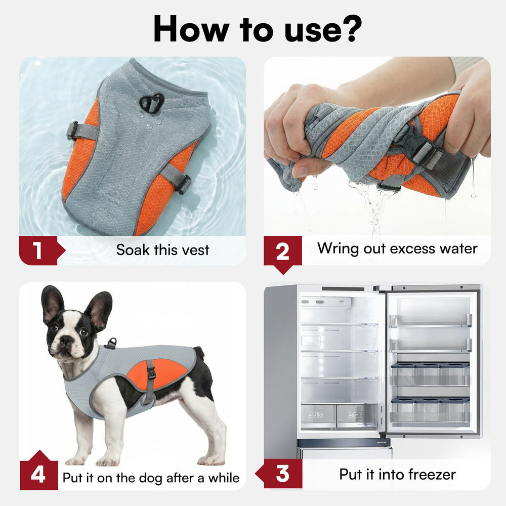 Anneau en D sur gilet chien Preferhouse, attache pratique pour la laisse