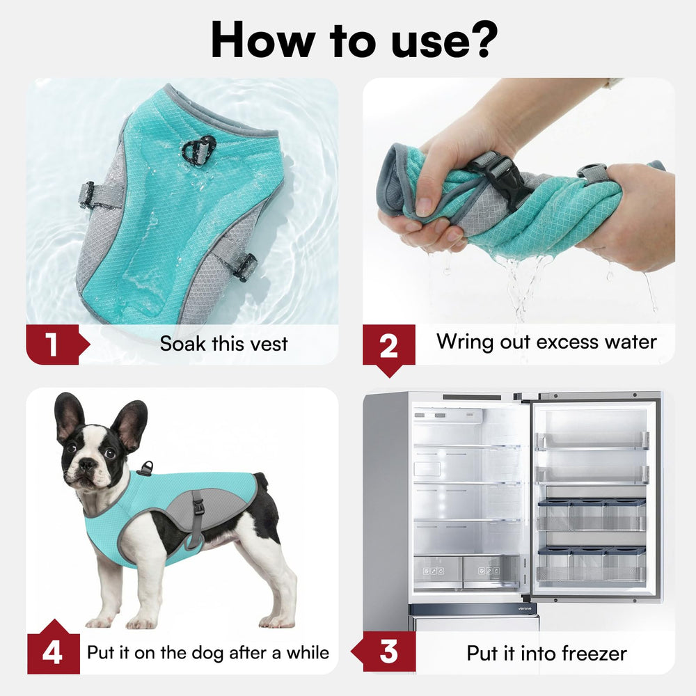 Preferhouse bande reflectissante chien bleu taille XL, visibilite accrue en soiree.