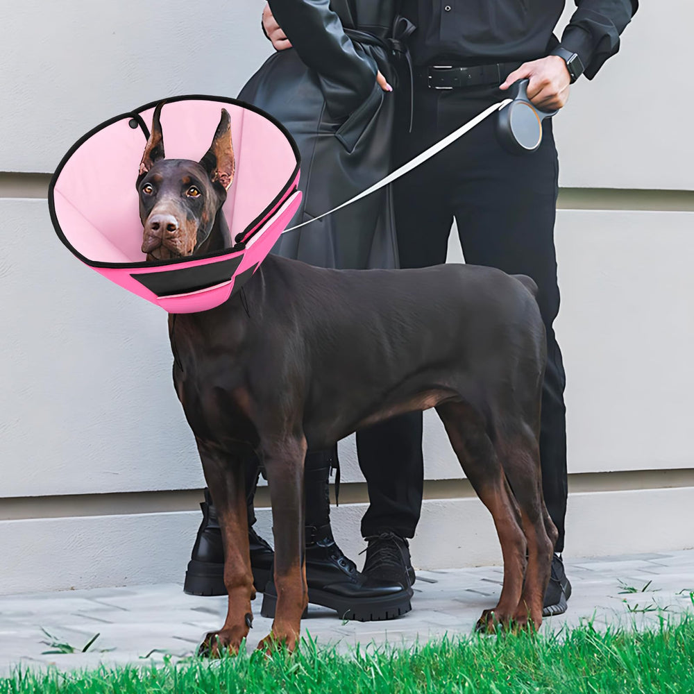 Preferhouse ajustable-cone-chien-apres-operation: ajustement précis pour un maintien sûr.