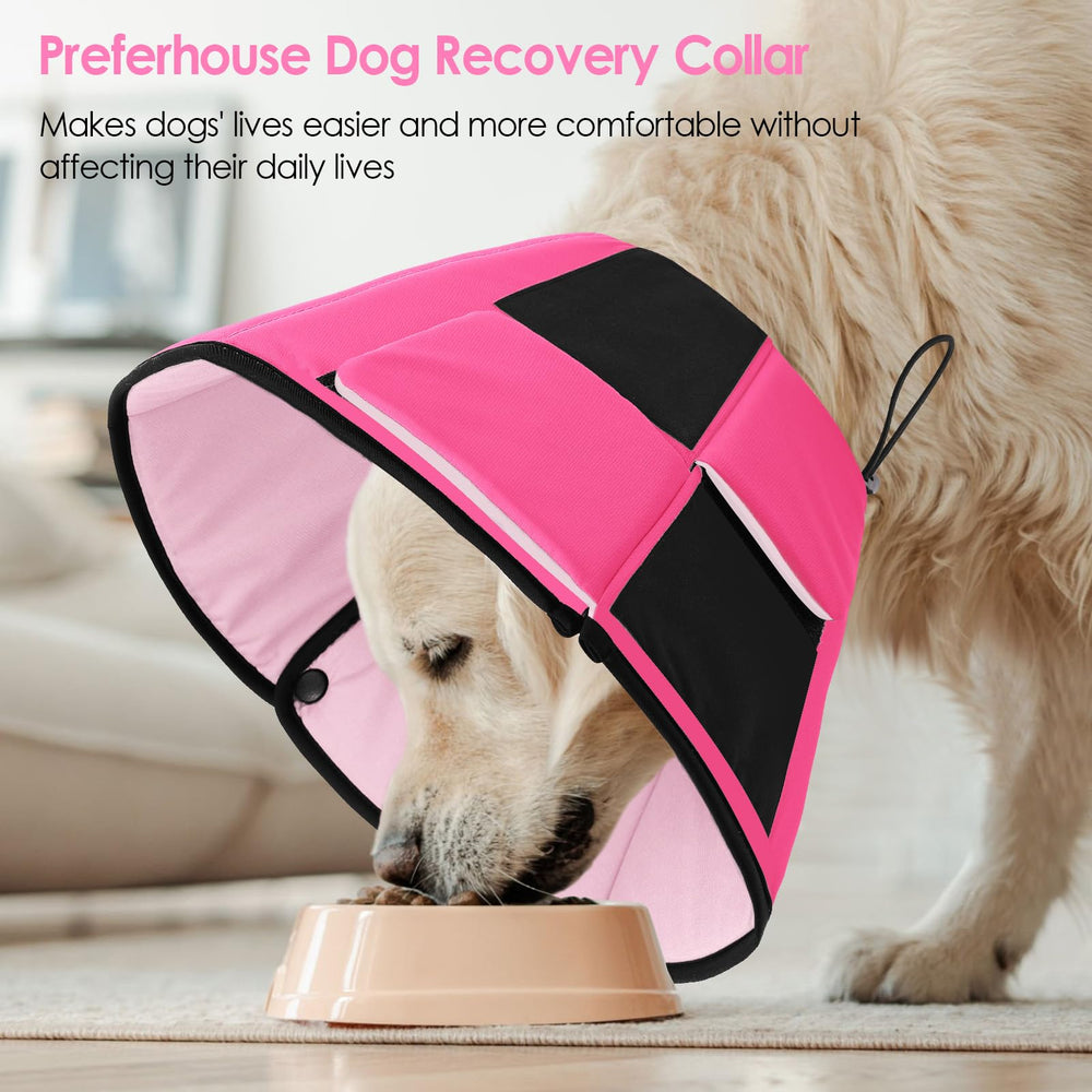 Protection du cou du chien avec le cone rose de Preferhouse