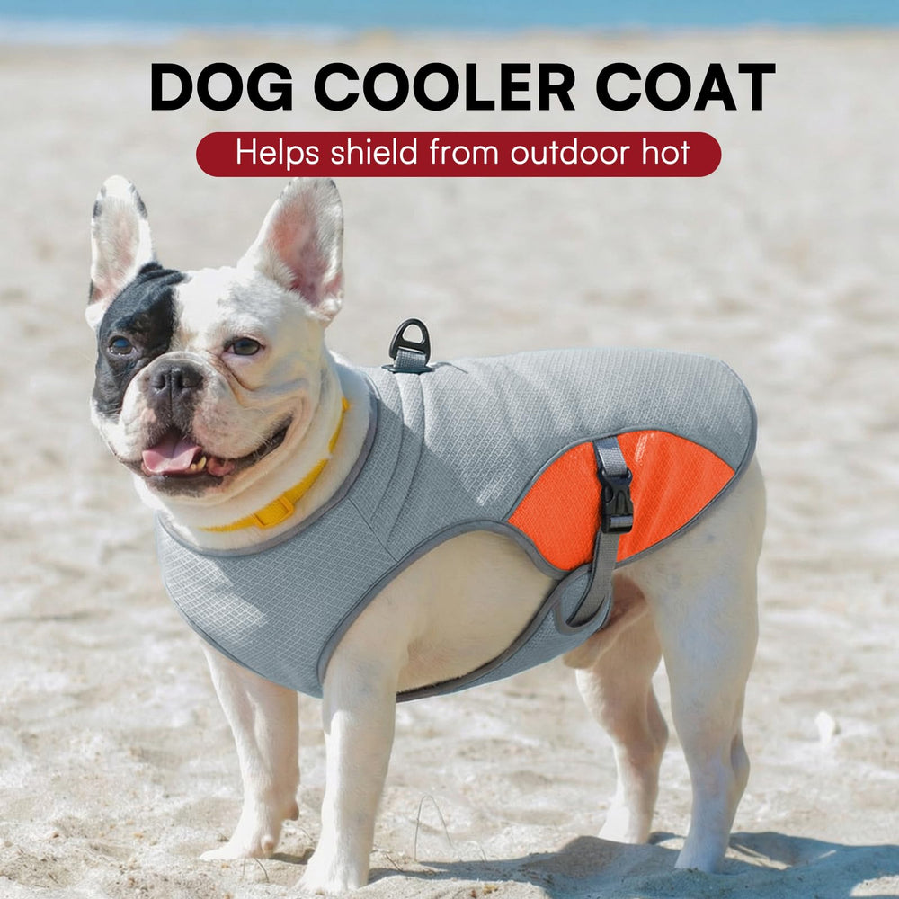 Entretien facile du gilet chien Preferhouse, lavage machine ou à la main