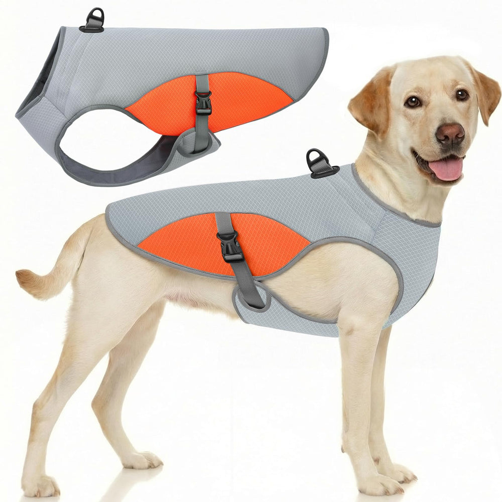 Gilet refroidissant orange Preferhouse pour chien 2XL pendant les balades estivales