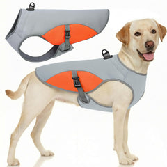 Gilet refroidissant orange Preferhouse pour chien 2XL pendant les balades estivales