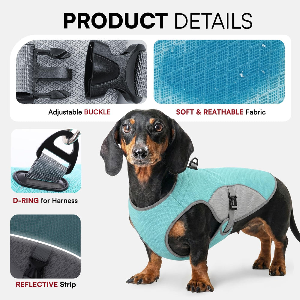 Preferhouse maillage respirant veste chien bleu taille XL, ventilation ideale pour les promenades.