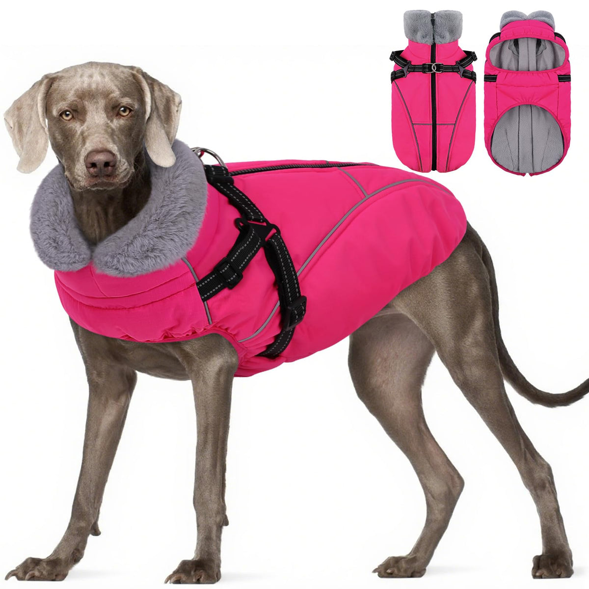 Manteau Preferhouse chien hiver – avant : protection chaude pour les promenades.